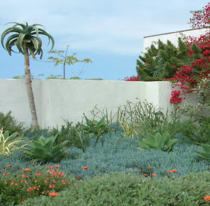 Seabluffs Garden
