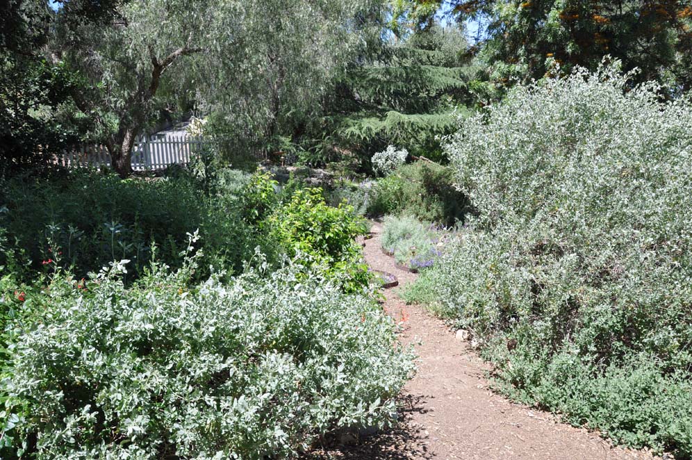 Wildlife Habitat Garden 9