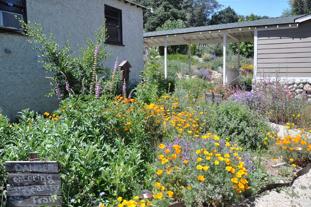 Wildlife Habitat Garden 13