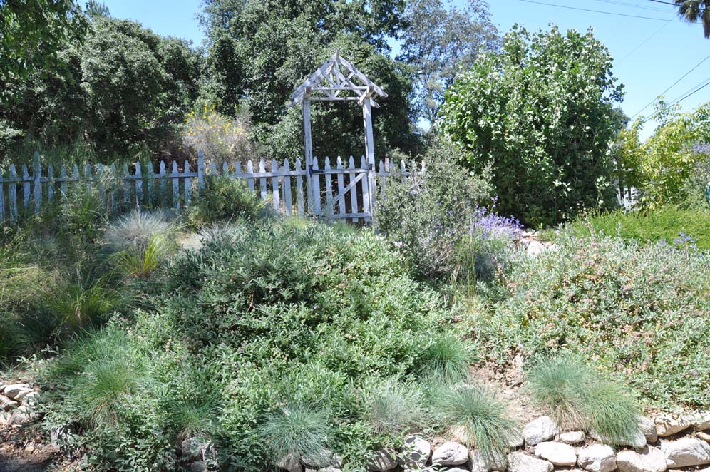 Wildlife Habitat Garden 19