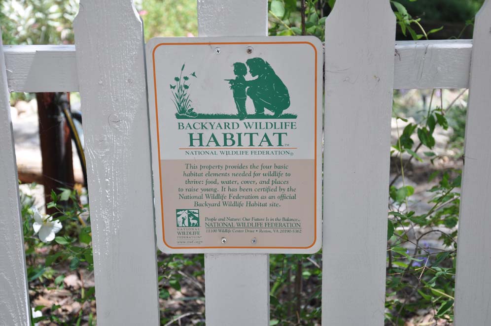 Wildlife Habitat Garden 21