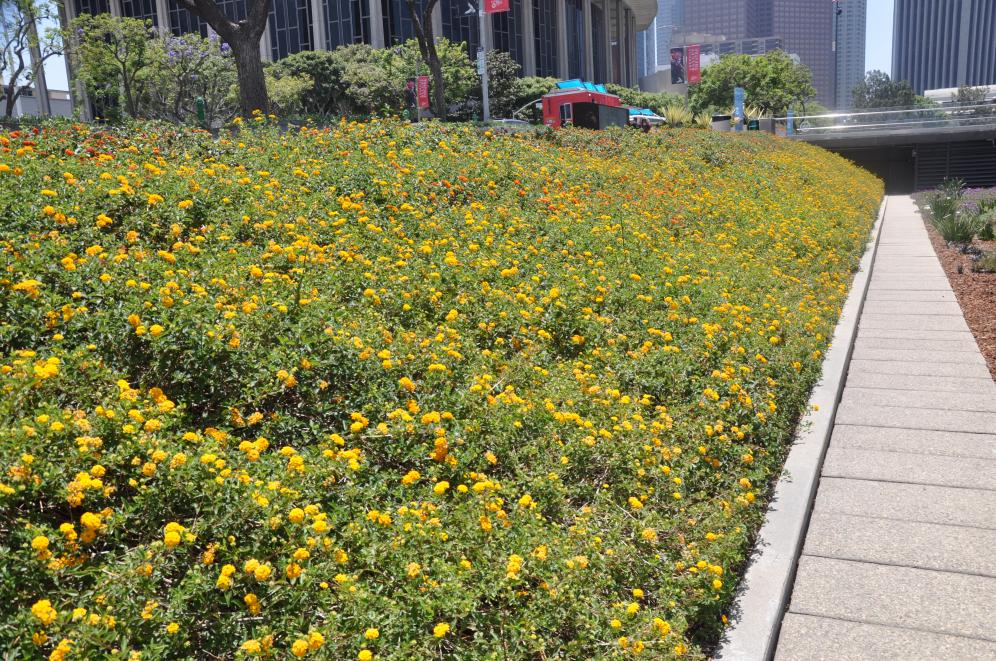 JFB Demonstration Garden B1