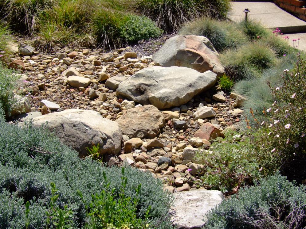 Dry Creek Beds A10