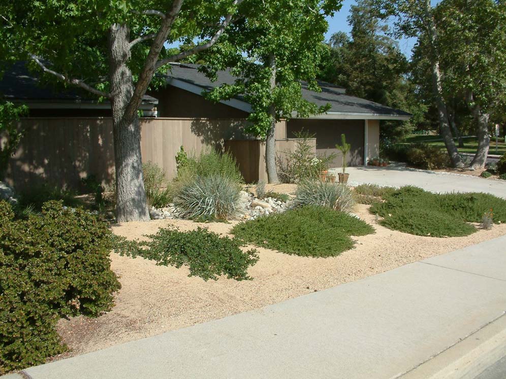 Low Maintenance Dry Garden