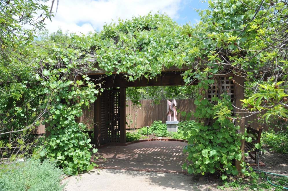 Vitis Draped Gazebo