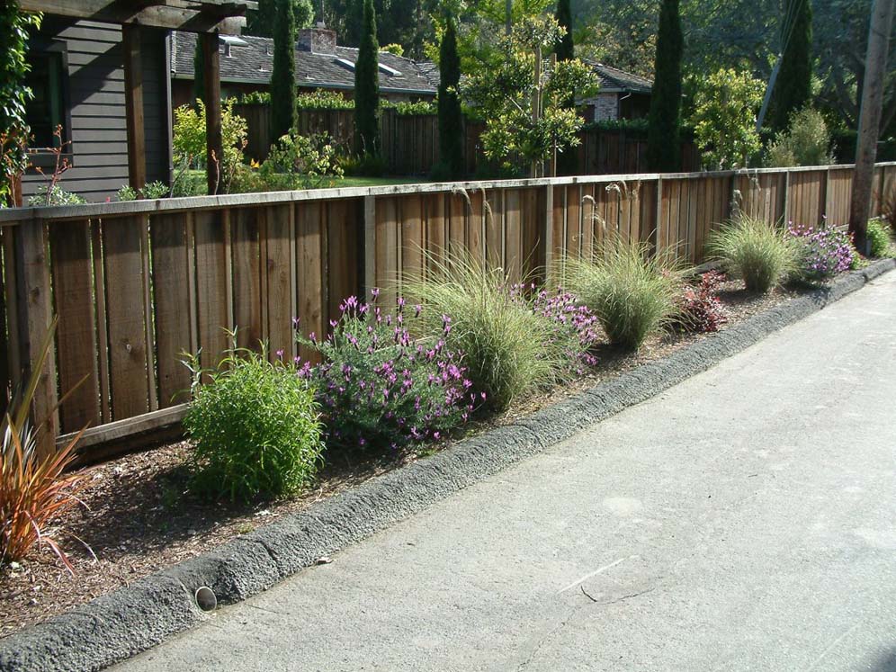 Shrubs Lined Up Against Fencing