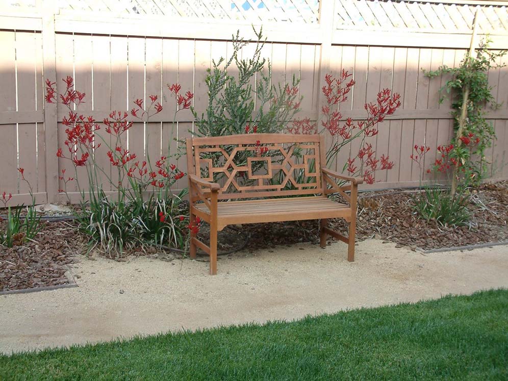 Bench and Kangaroo Paws