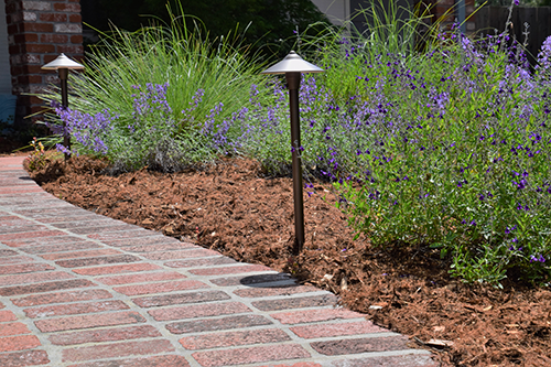 Landscape lighting and mulch